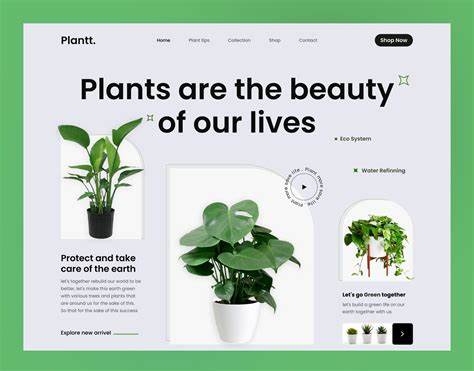 Plant care e-commerce website built with HTML CSS and JavaScript